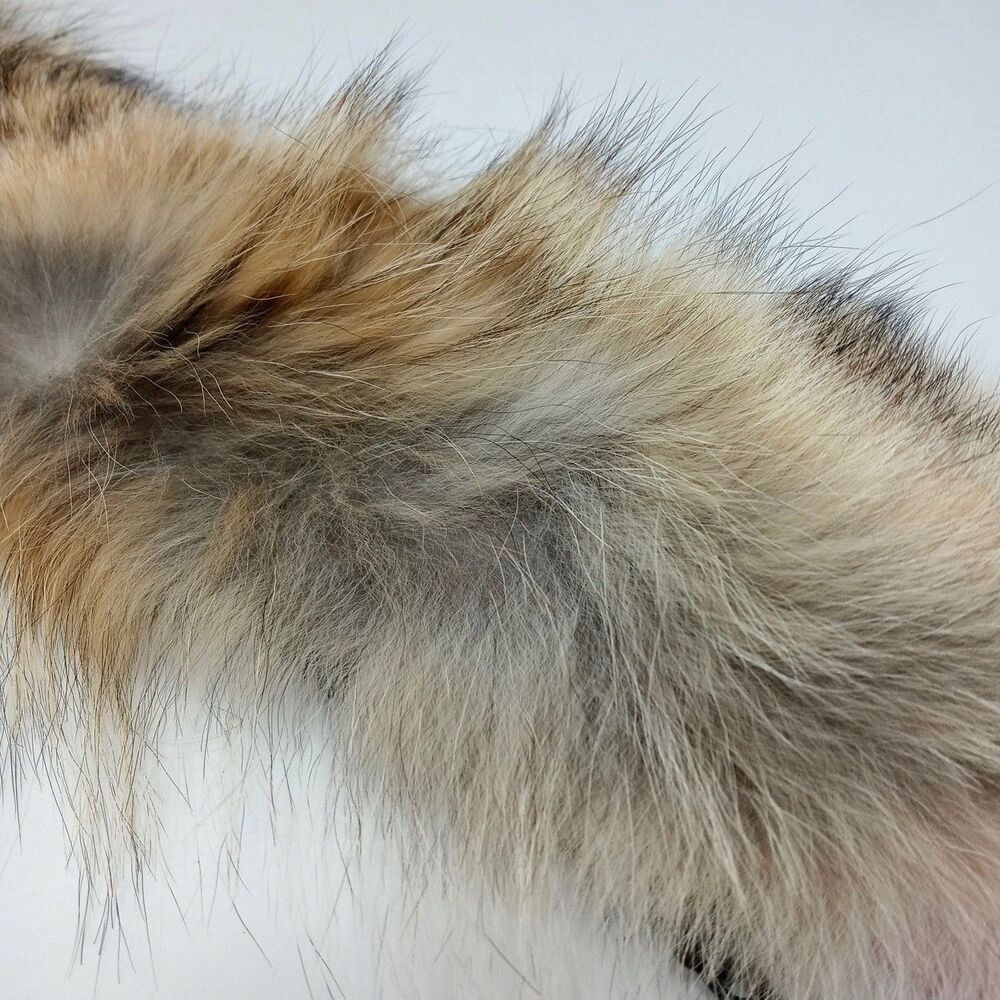 Canada Goose Fur Replacement Collar Trim for Red Jacket or Coat (19" Long) - Picture 5 of 8